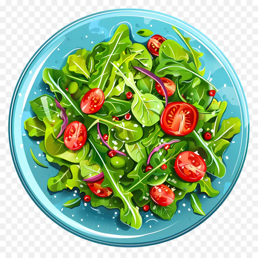 Yeşil Salata，Salata PNG