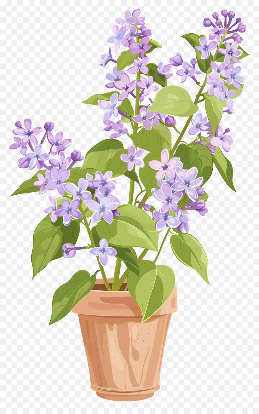 Lila çiçek，Küçük Saksı Bitki PNG