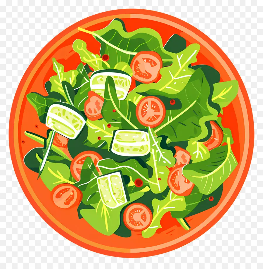 Yeşil Salata，Salata PNG