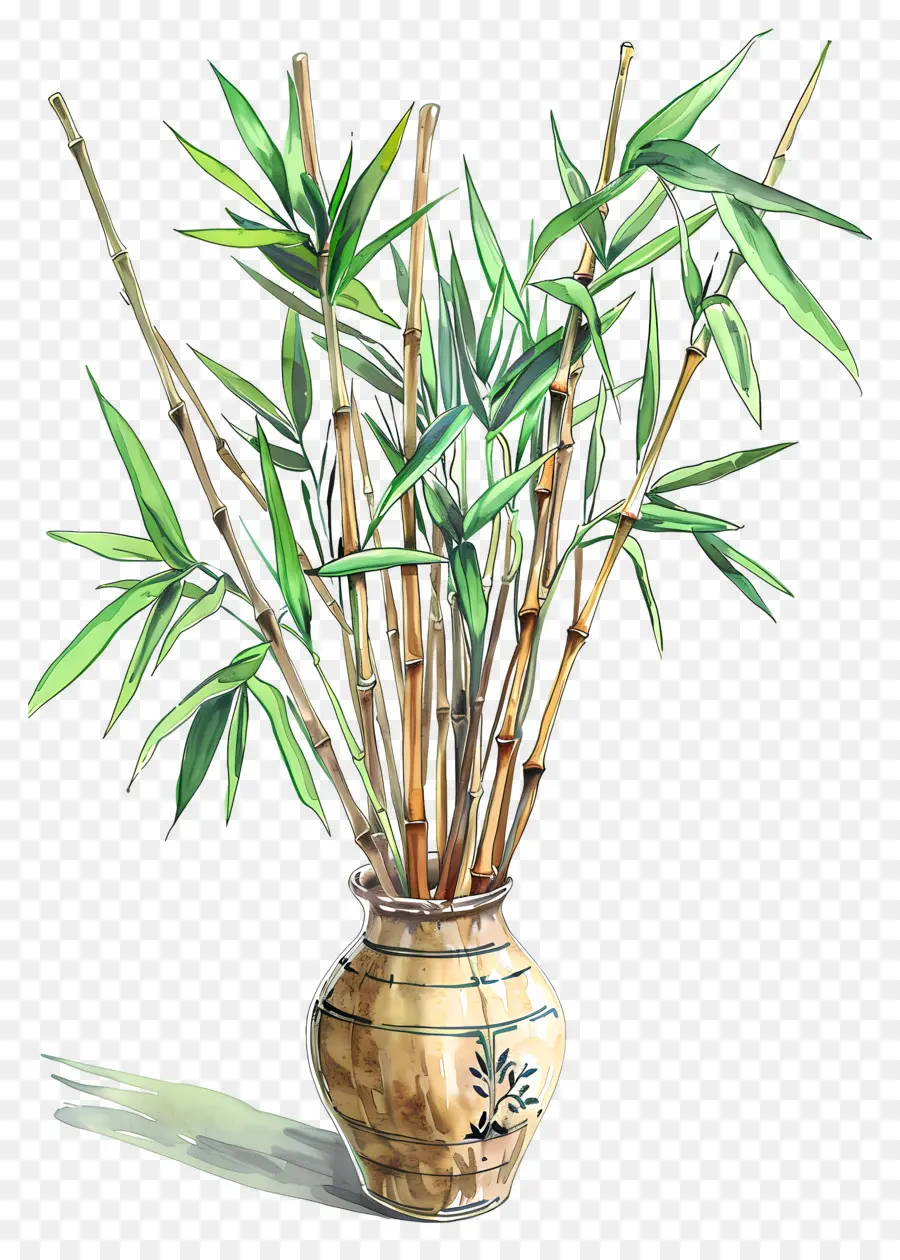 Vazo Bambu，Bambu PNG