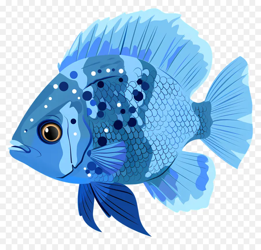 Balık，Mavi Balık PNG