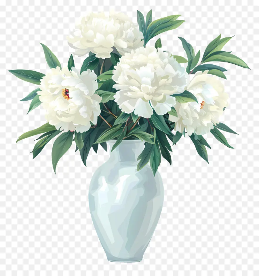 Beyaz şakayık，Taze çiçekler PNG