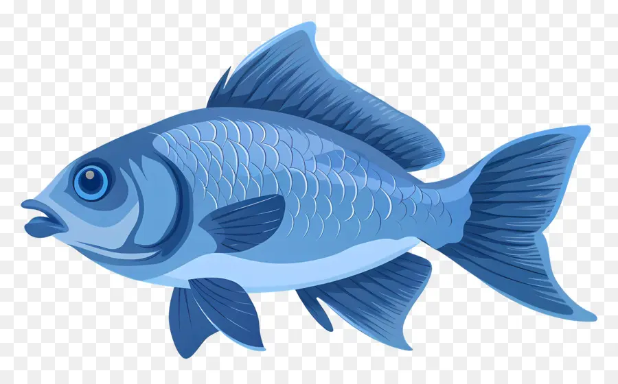 Balık，Mavi Balık PNG