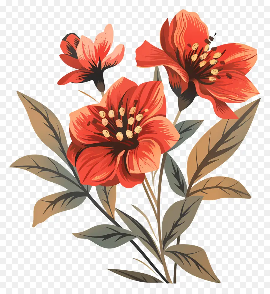 Vintage çiçek，Turuncu Ve Kırmızı çiçekler PNG