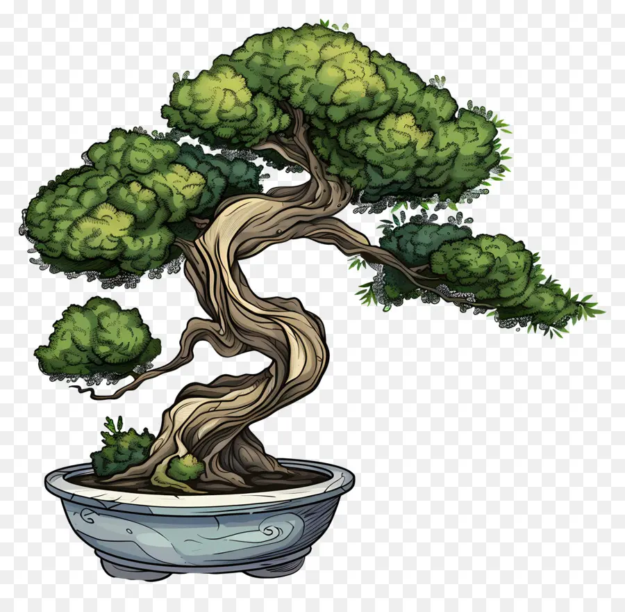 Bonsai Ağacı，Taş Pot PNG