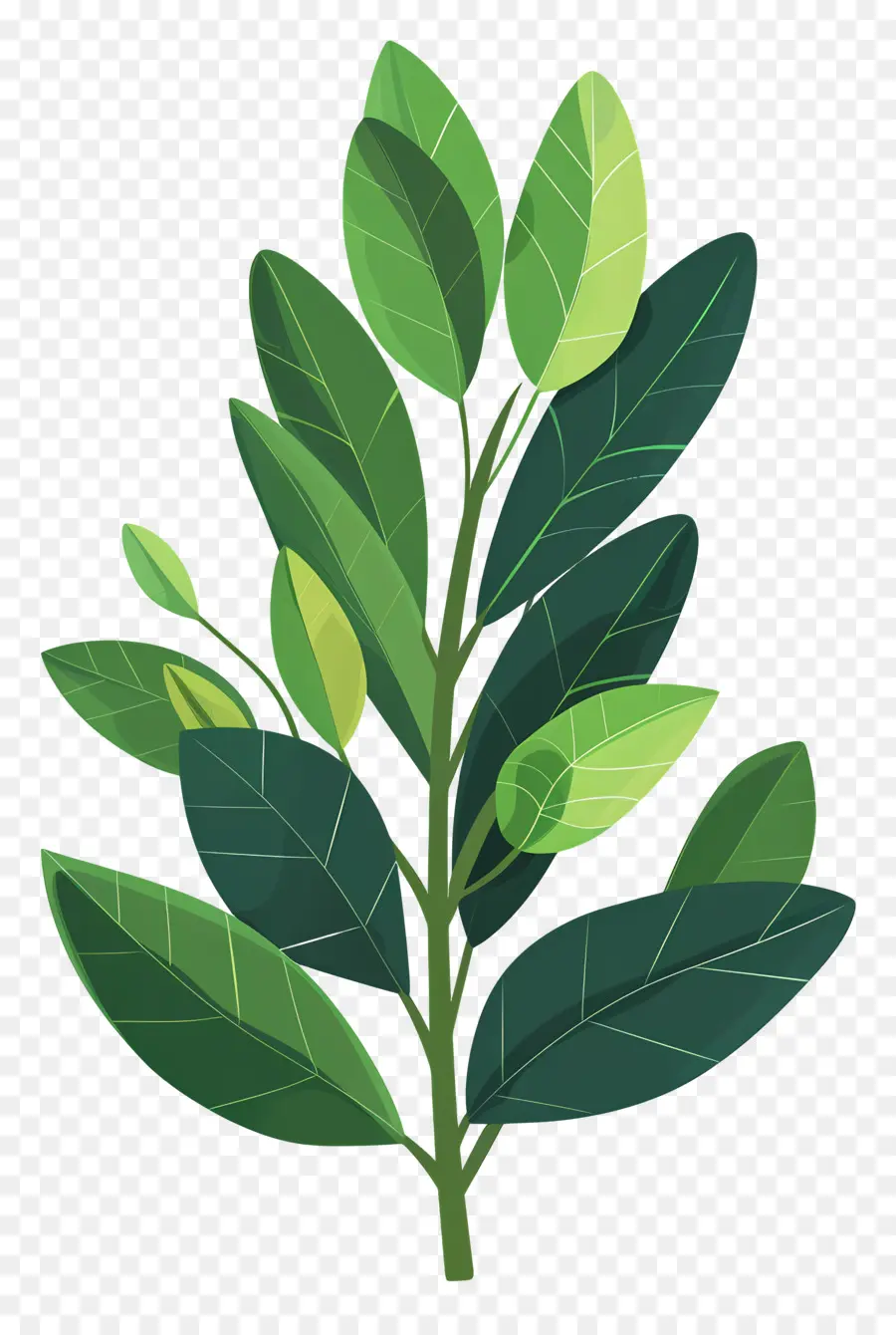Defne Yaprağı，Yeşil Bitki PNG