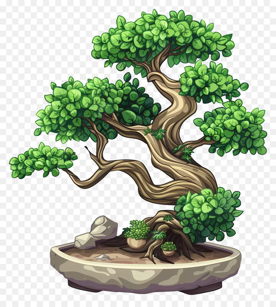 Bonsai Ağacı，Yeşil Yaprakları PNG