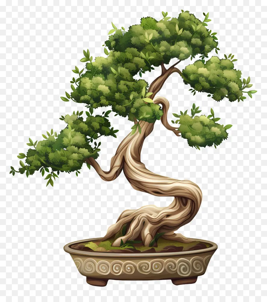 Bonsai Ağacı，Konteyner Bahçe PNG