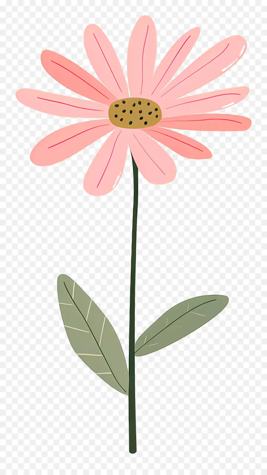 Pembe Daisy，Pembe çiçek PNG