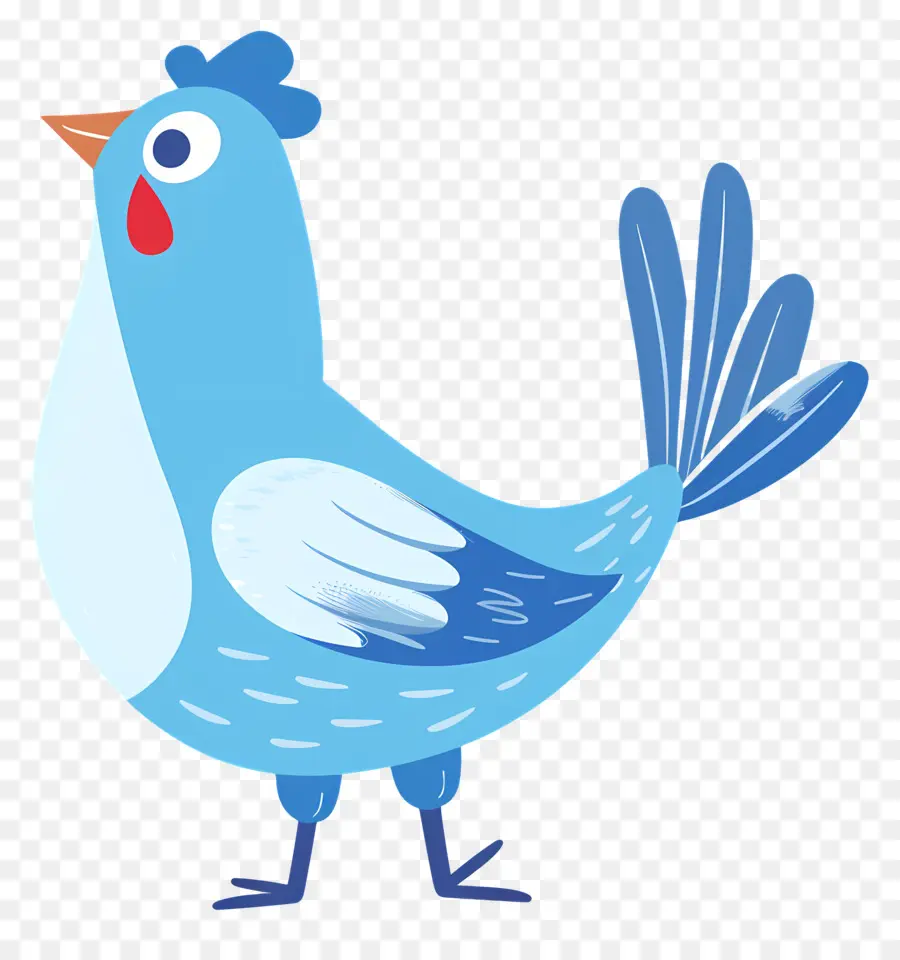 Tavuk，Mavi Kuş PNG