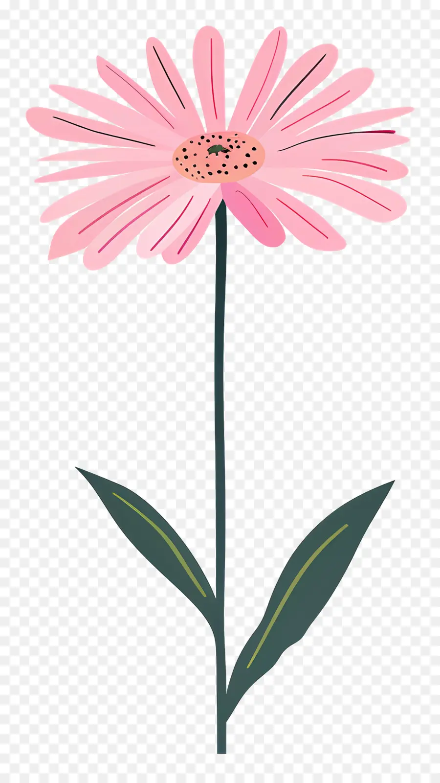 Pembe Daisy，Pembe çiçek PNG