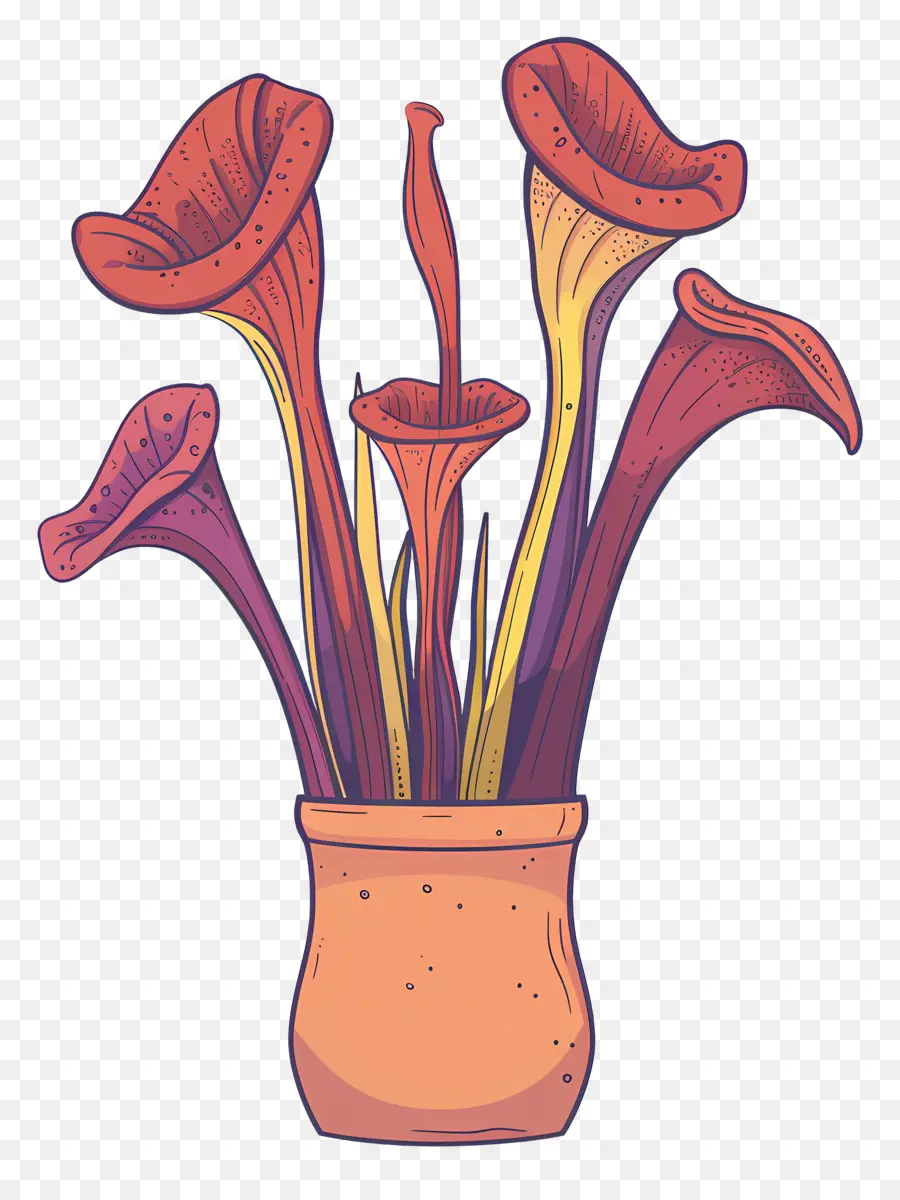 Sürahi Bitki，Trompet çiçek PNG