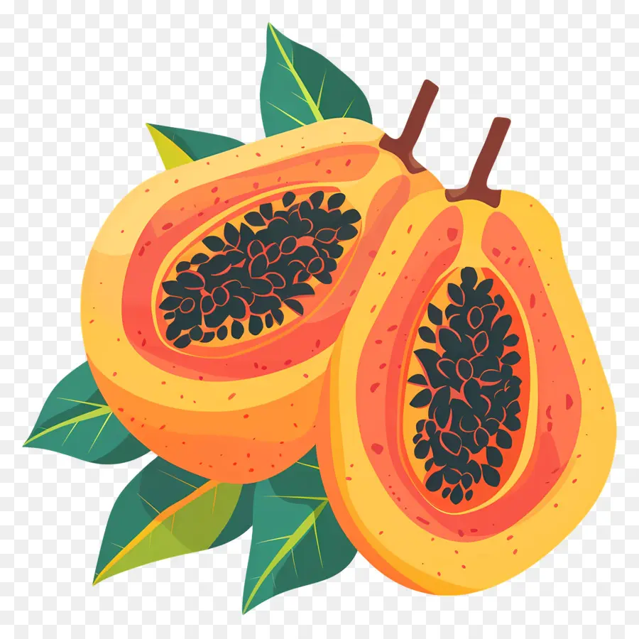 Papaya，Pençe Meyvesi PNG