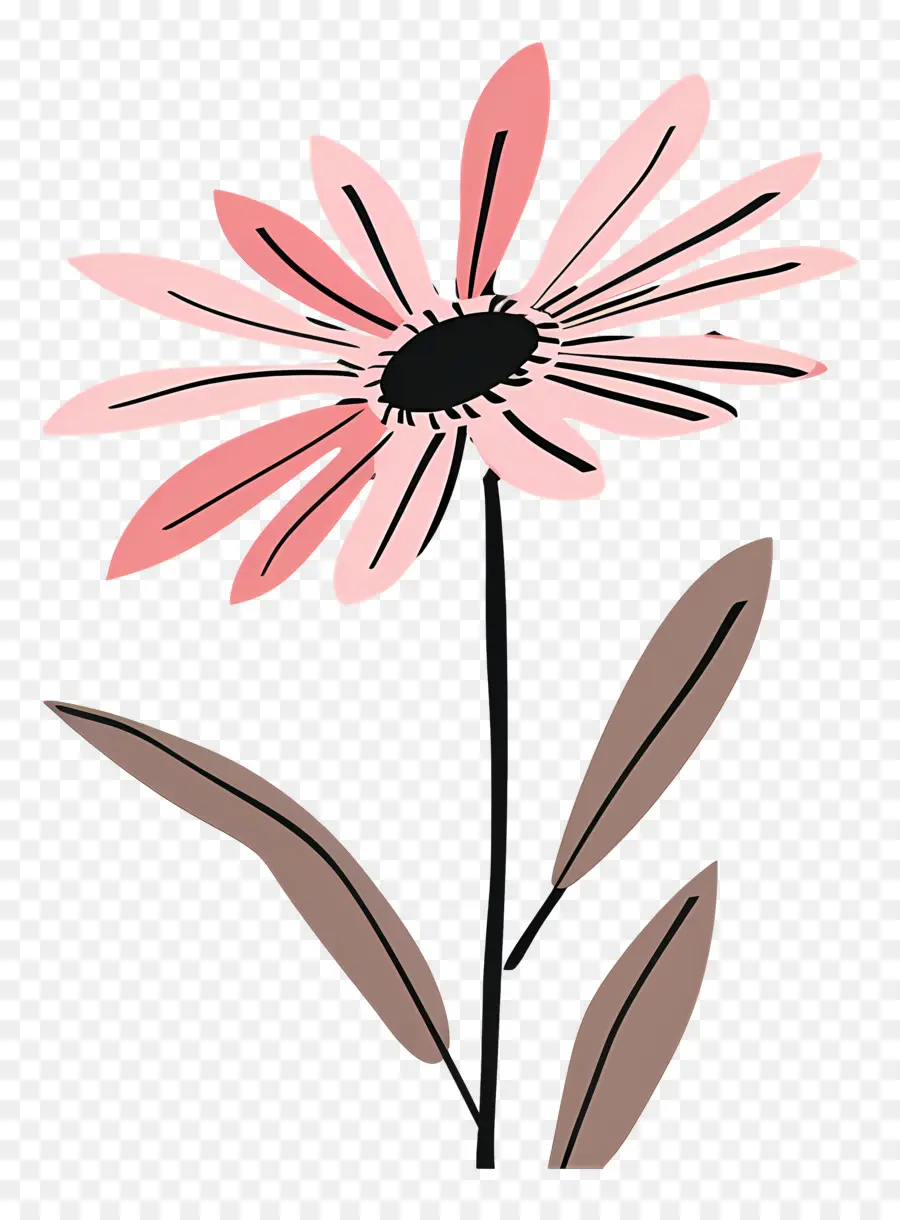 Pembe Daisy，Karikatür Pembe Çiçek PNG