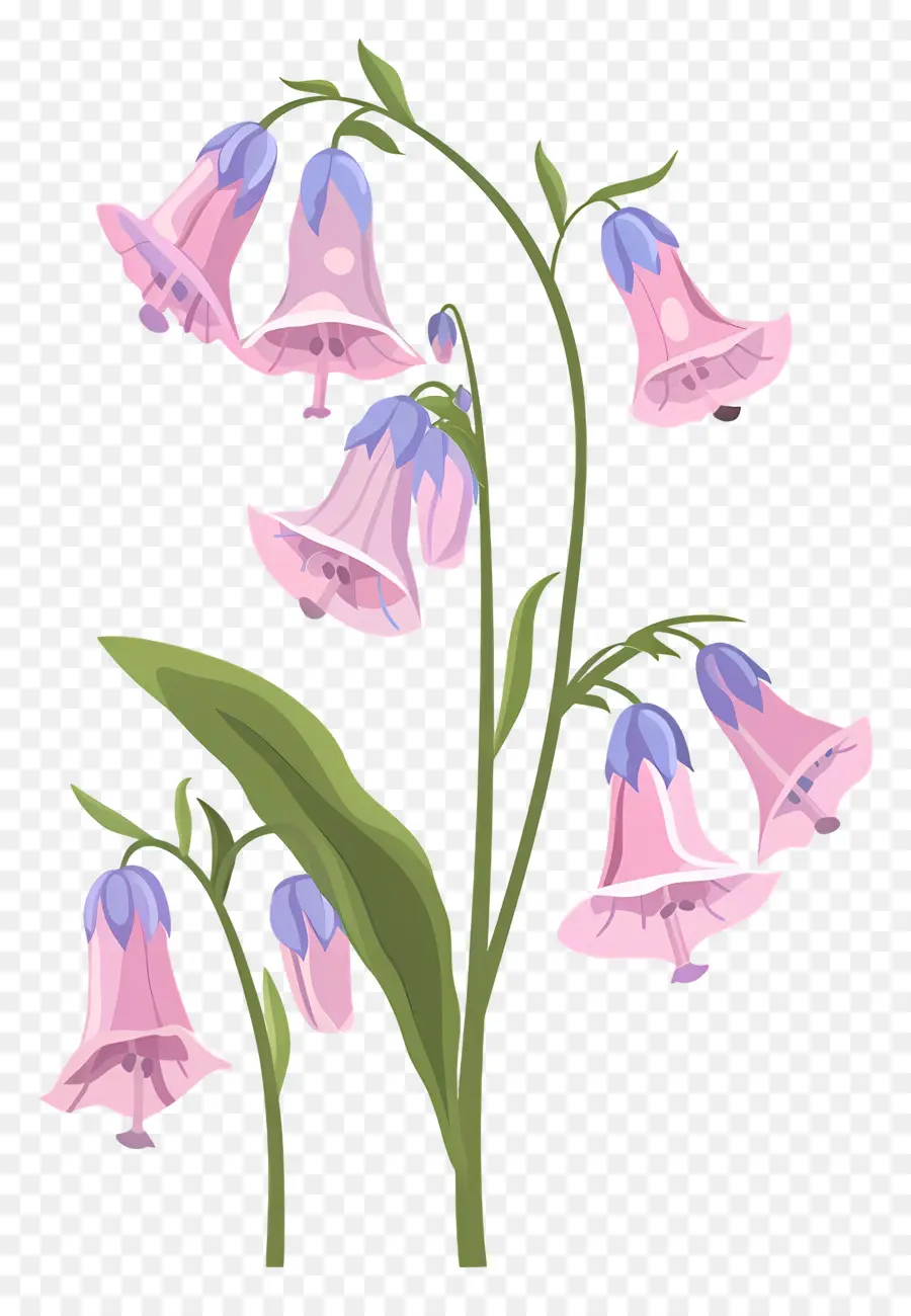 Sümbül，Pembe çiçekler PNG