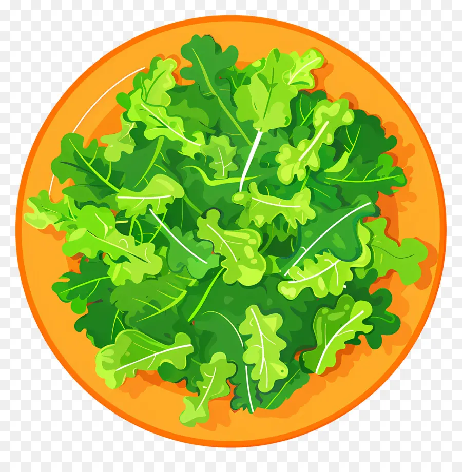 Yeşil Salata，Salata PNG