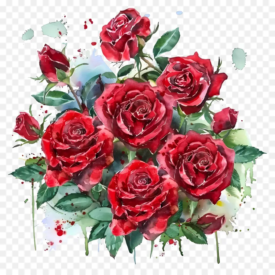 Gül Buketi，Kırmızı Güller PNG