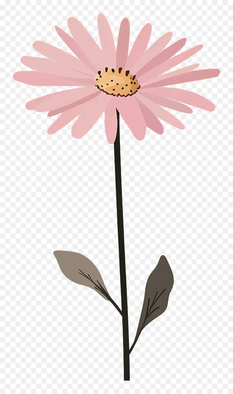 Pembe Daisy，çiçek PNG
