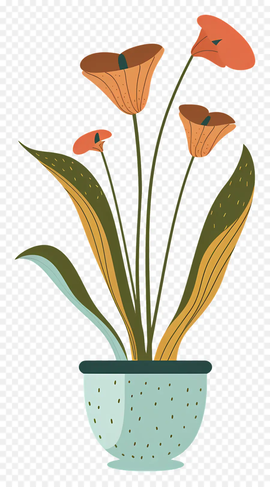 Sürahi Bitki，çiçek Vazo PNG