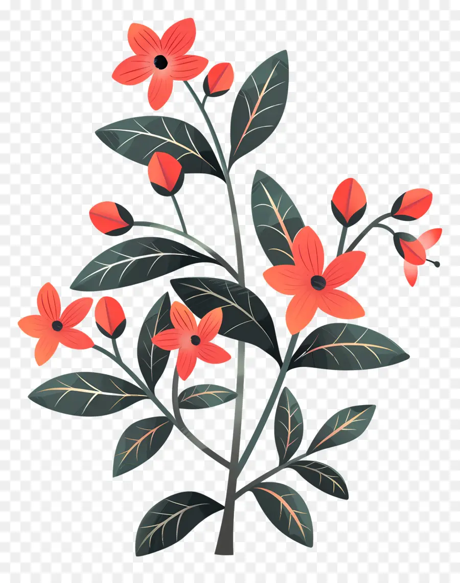 Turuncu çiçekler，Yeşil Yapraklı Bitki PNG