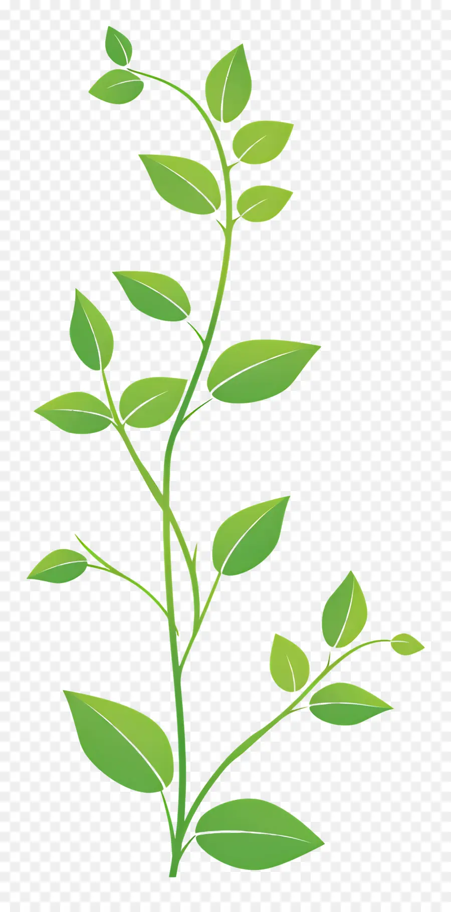 Bitki Kök，Yeşil Yapraklı Bitki PNG
