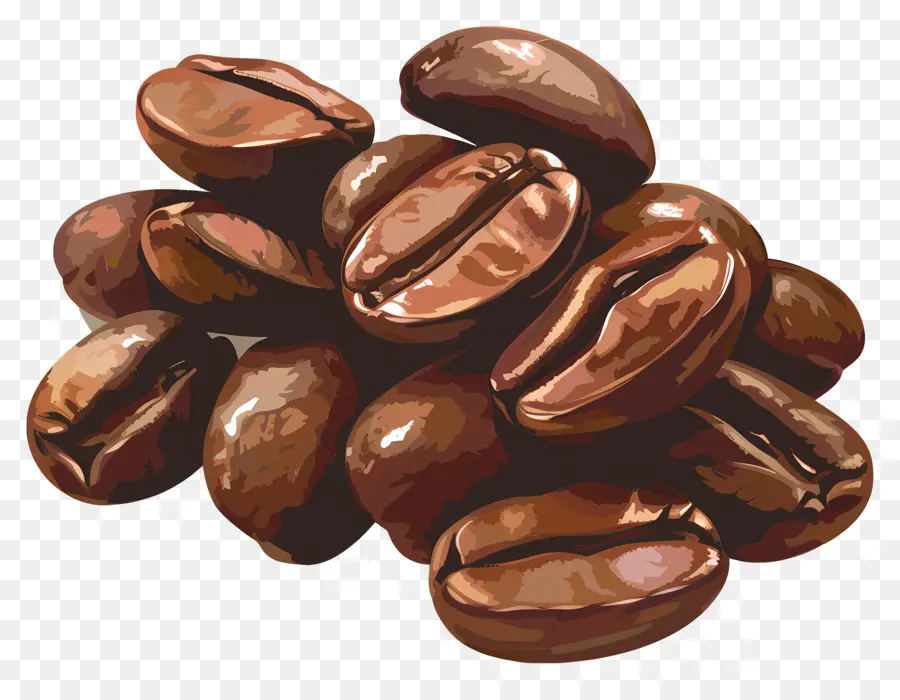 Kahve çekirdekleri，Kahverengi PNG