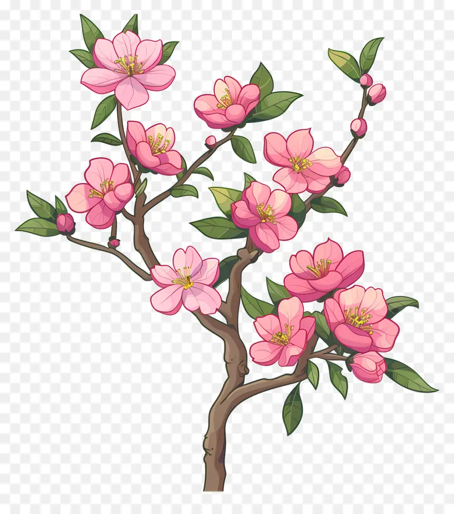 Pembe çiçek，Ağaç PNG
