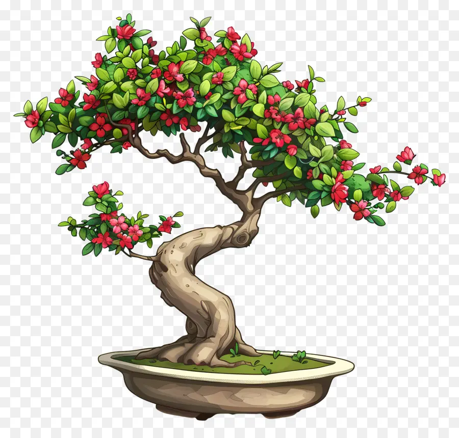 Bonsai Ağacı，Pembe çiçekler PNG