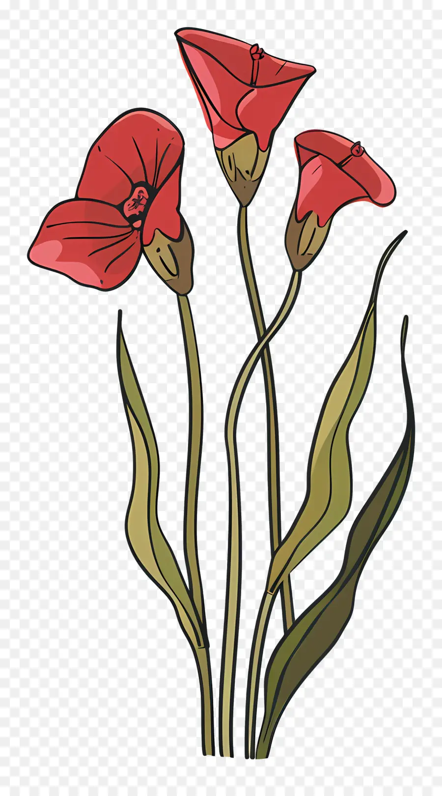 Sürahi Bitki，Kırmızı çiçekler PNG