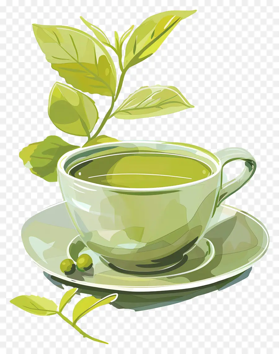 Yeşil çay，Çay Kupası PNG