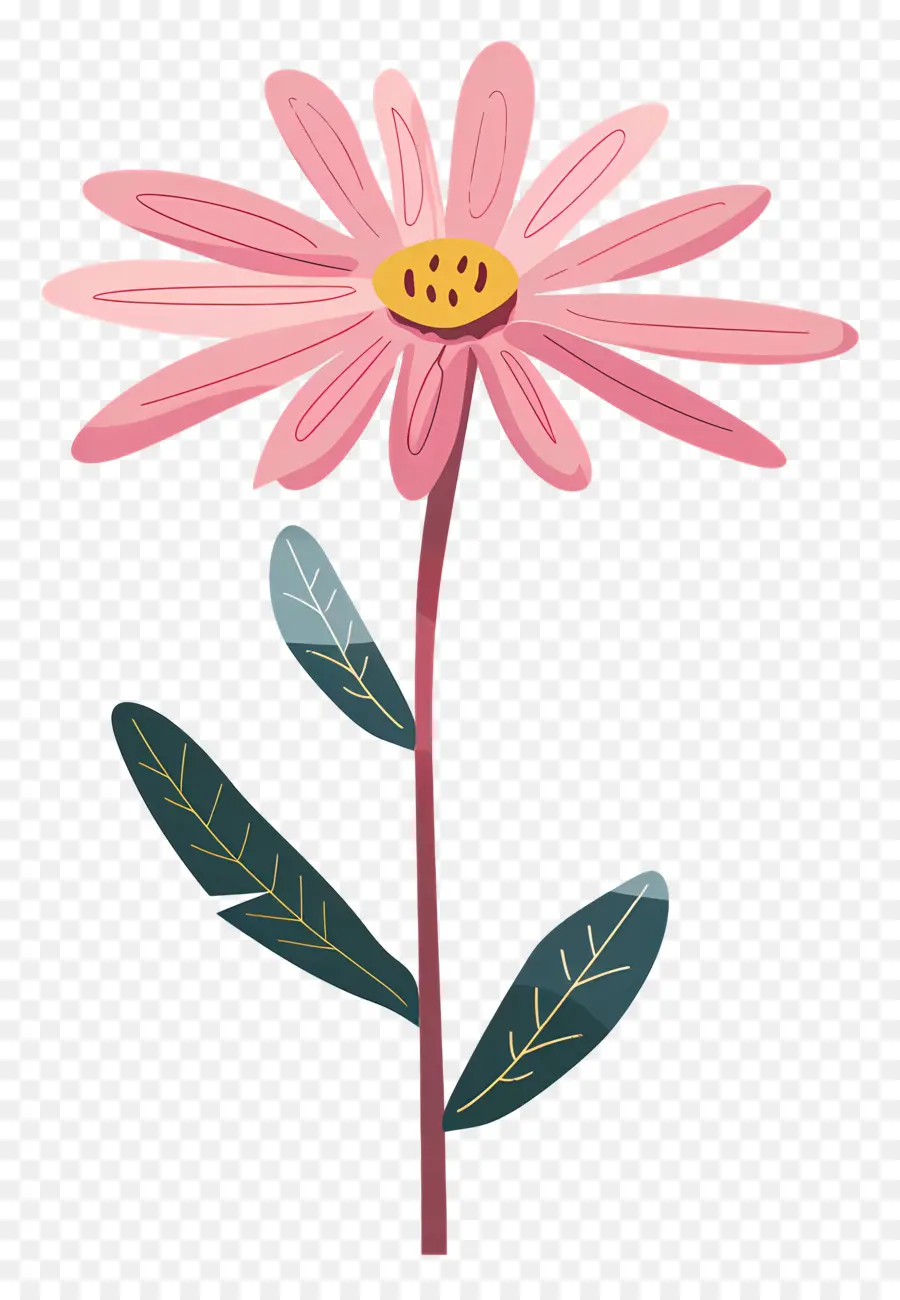 Pembe Daisy，Pembe çiçek PNG