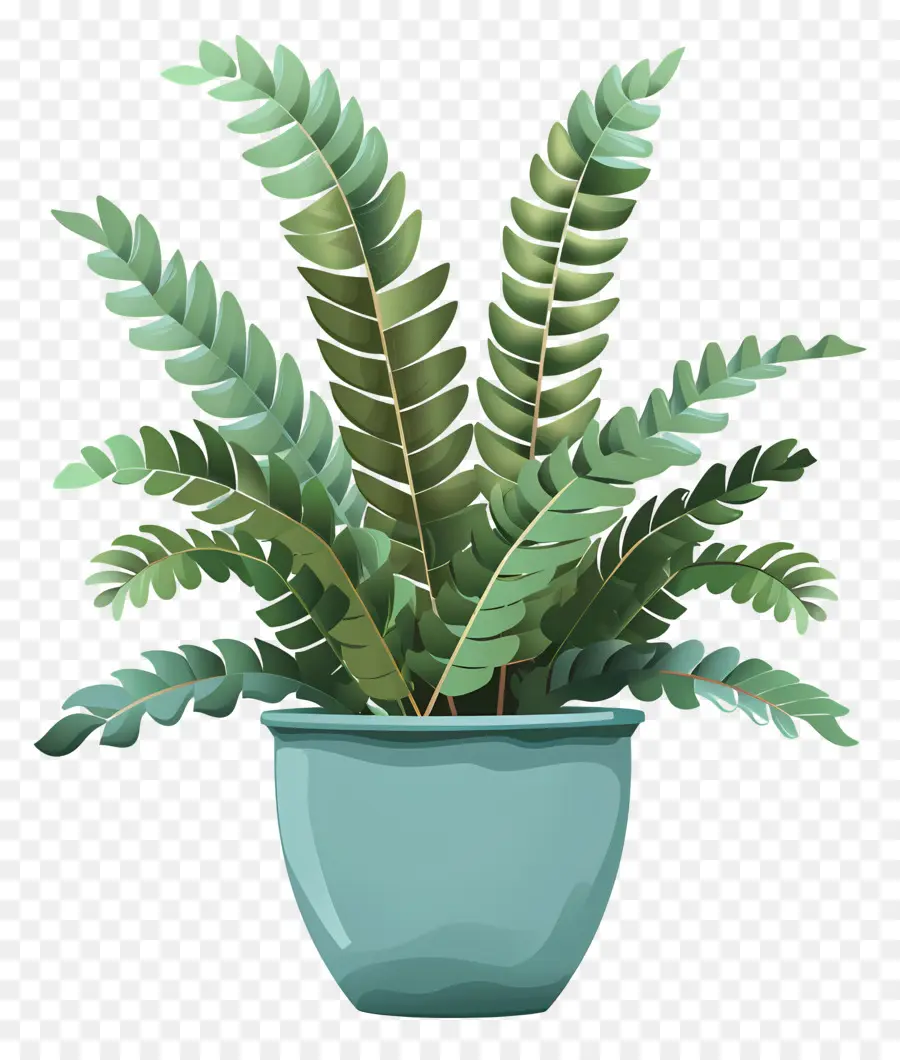 Fern Bitkisi，Mavi Pot PNG