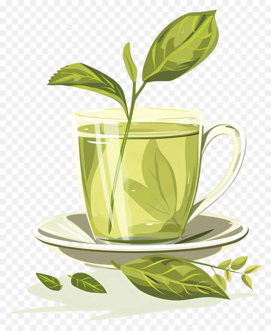 Yeşil çay，çay PNG