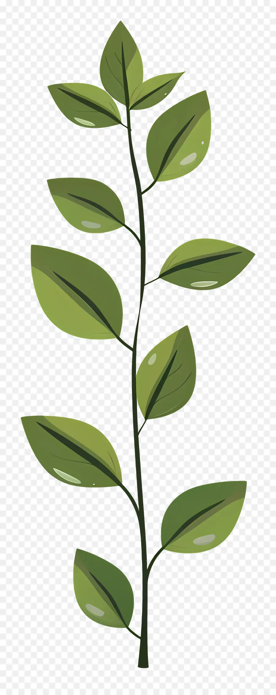 Bitki Kök，Yeşil Bitki PNG
