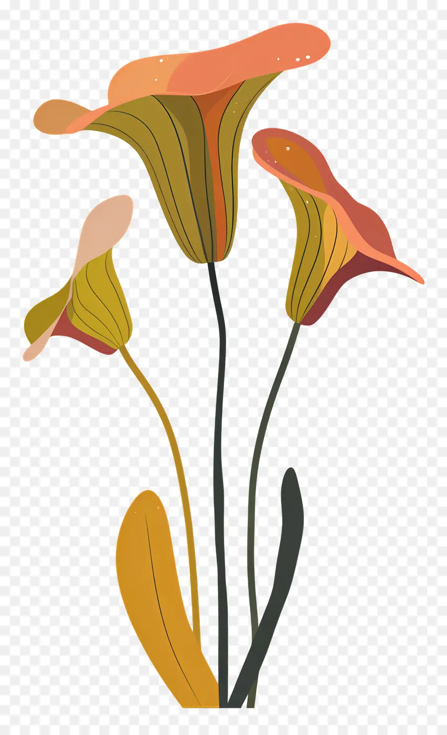 Sürahi Bitki，Turuncu çiçekler PNG