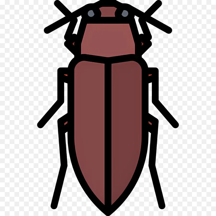 Böcek，Coleoptera PNG