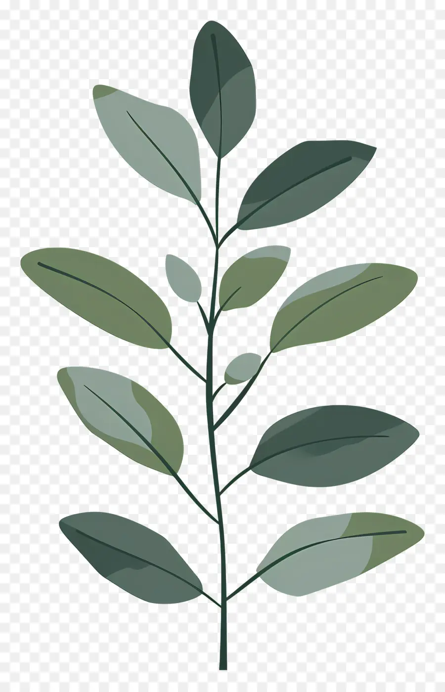Bitki Kök，Yapraklı Yeşil Bitki PNG