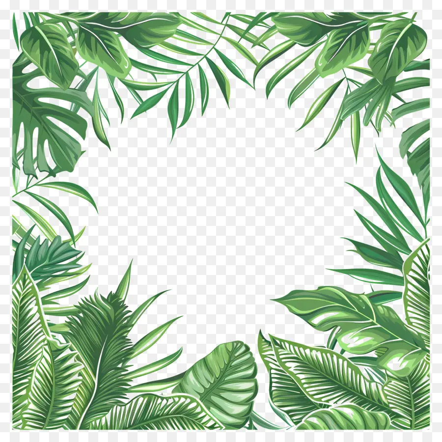 Tropikal Yaprak Sınırı，Yeşil Palmiye Yaprakları PNG