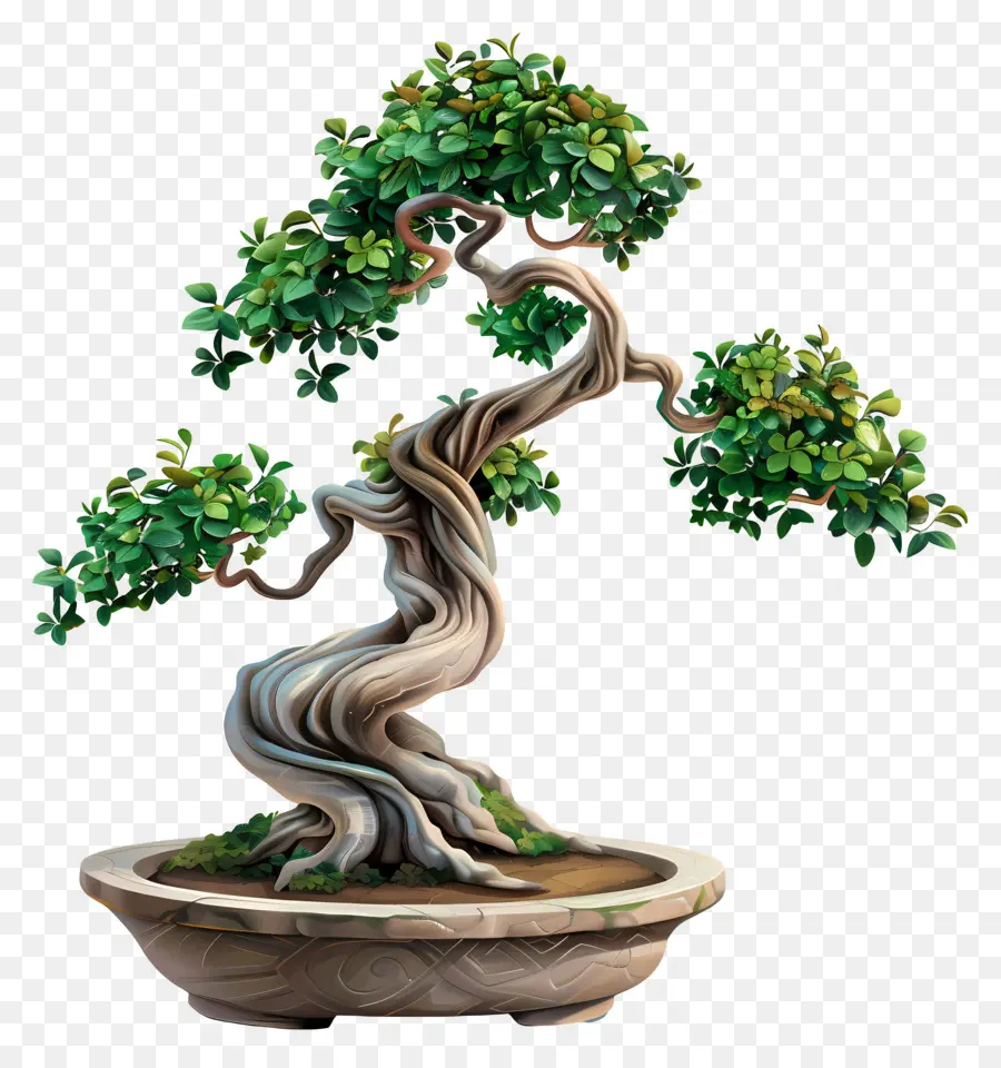 Bonsai Ağacı，Minyatür Bitki PNG