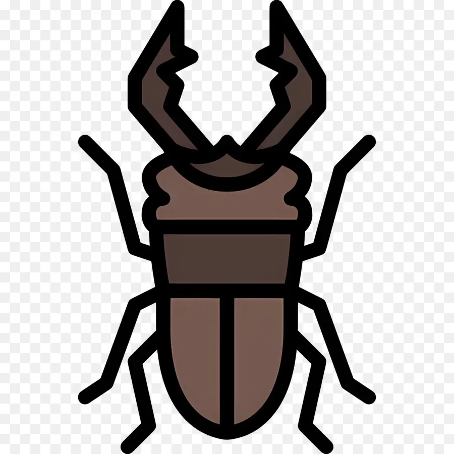 Böcek，Antenleri PNG