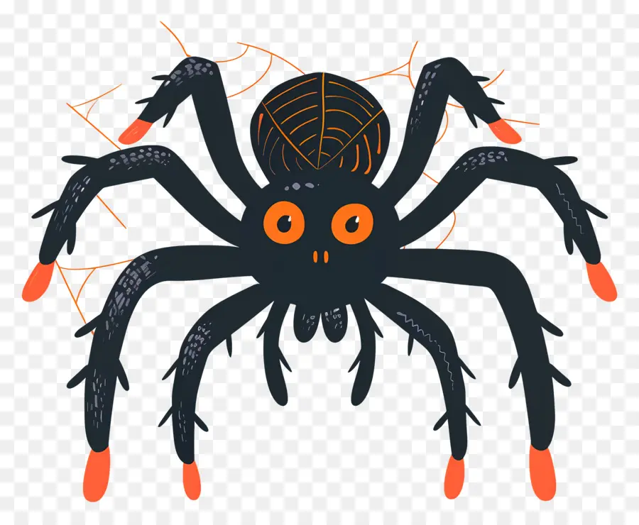 Cadılar Bayramı örümcek，Siyah örümcek PNG