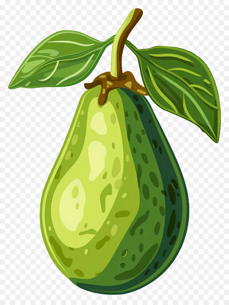Avokado，Yeşil Armut PNG