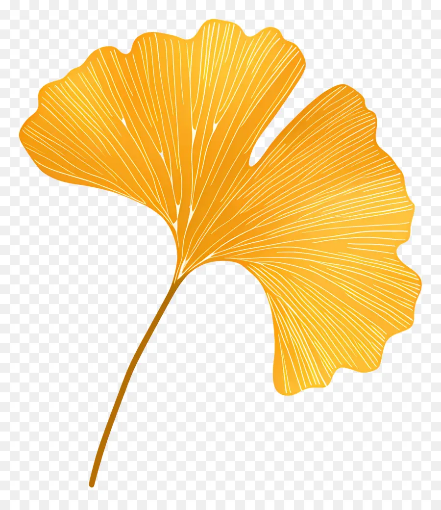 Ginkgo Yaprağı，Altın PNG