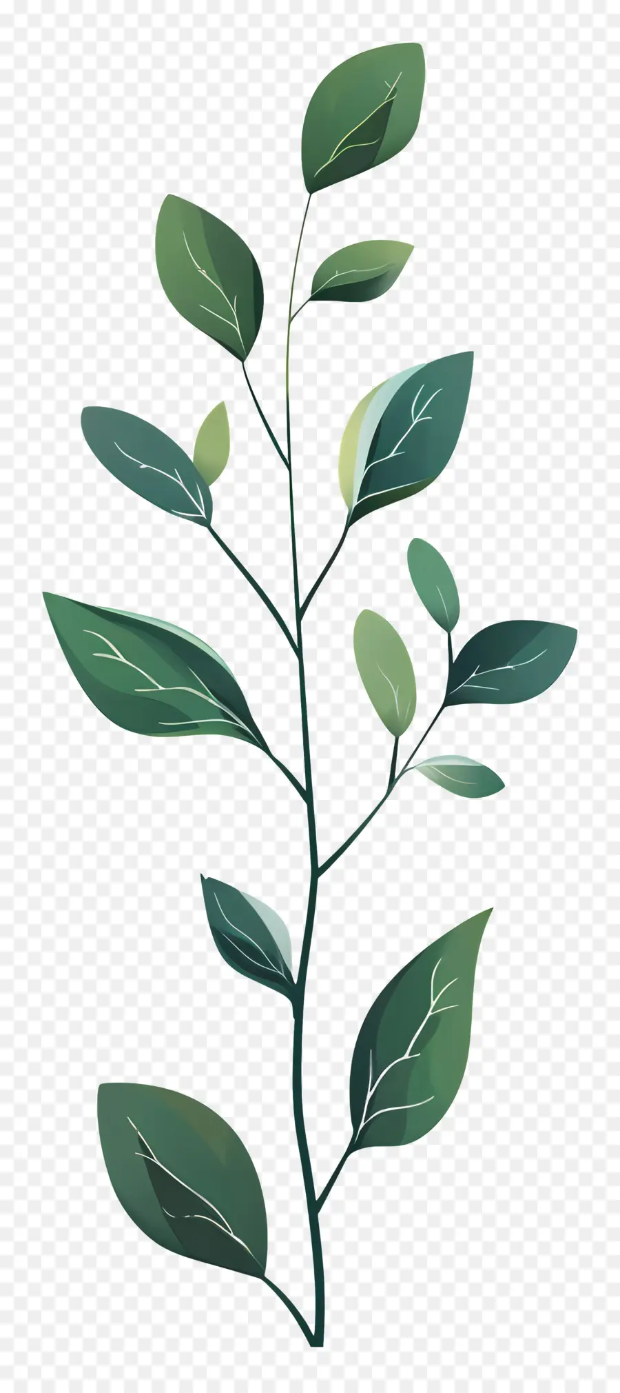 Bitki Kök，Yeşil Yaprakları PNG
