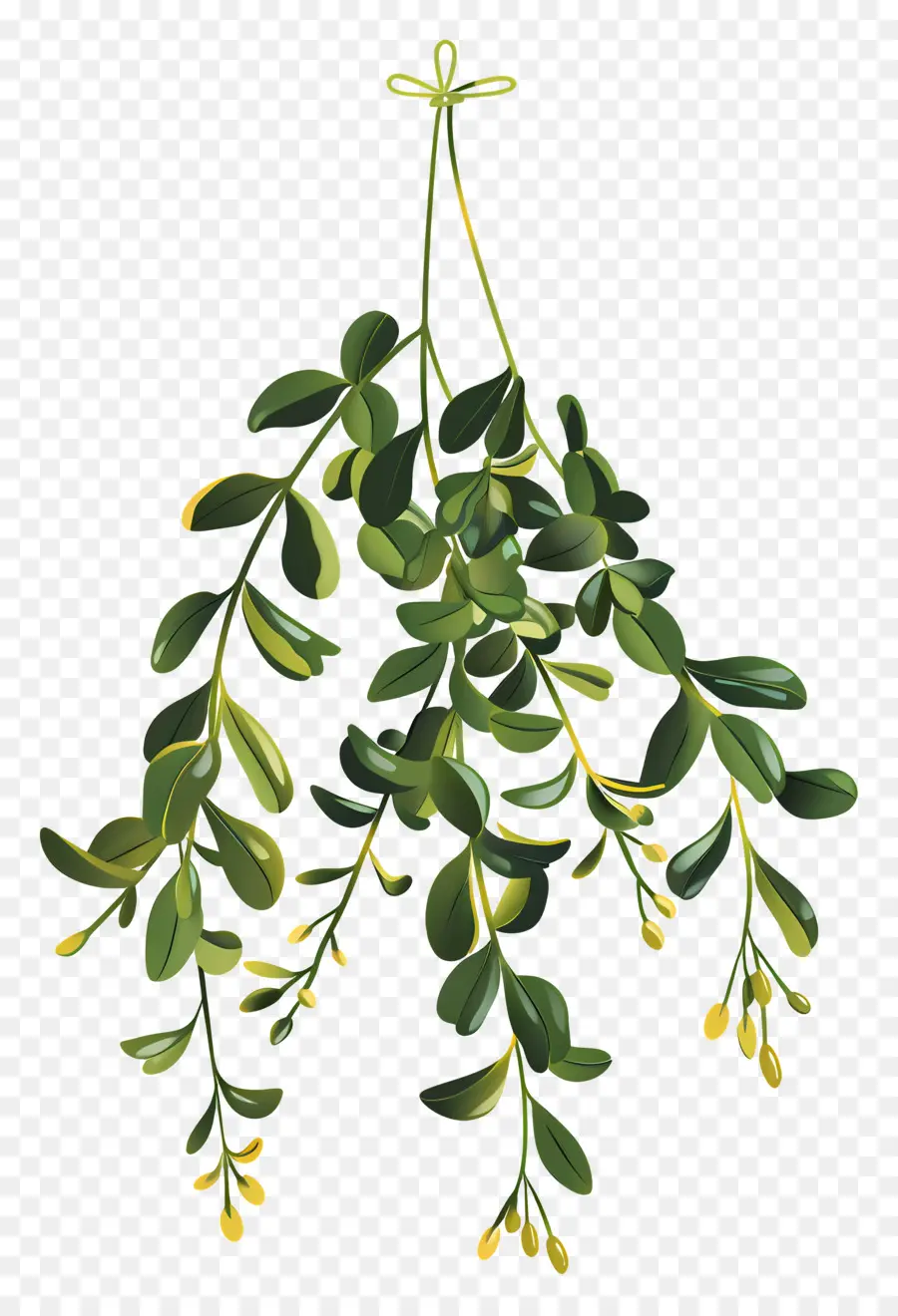 Asılı ökseotu，Yapraklı Bitki PNG