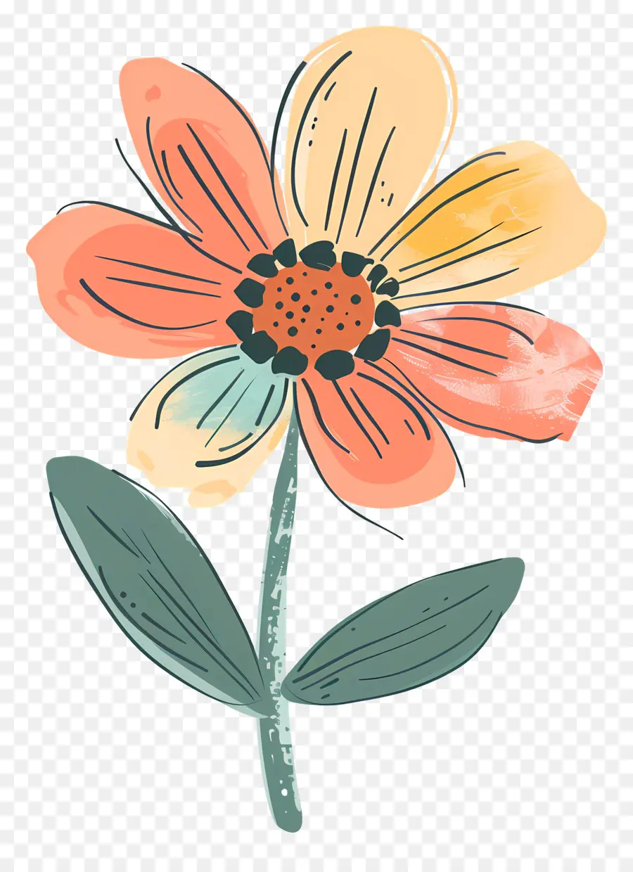 Karikatür çiçek，çiçek Kroki PNG
