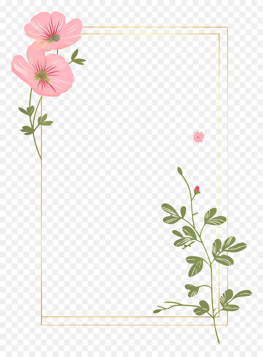 Altın çizgi，Pembe çiçekler PNG