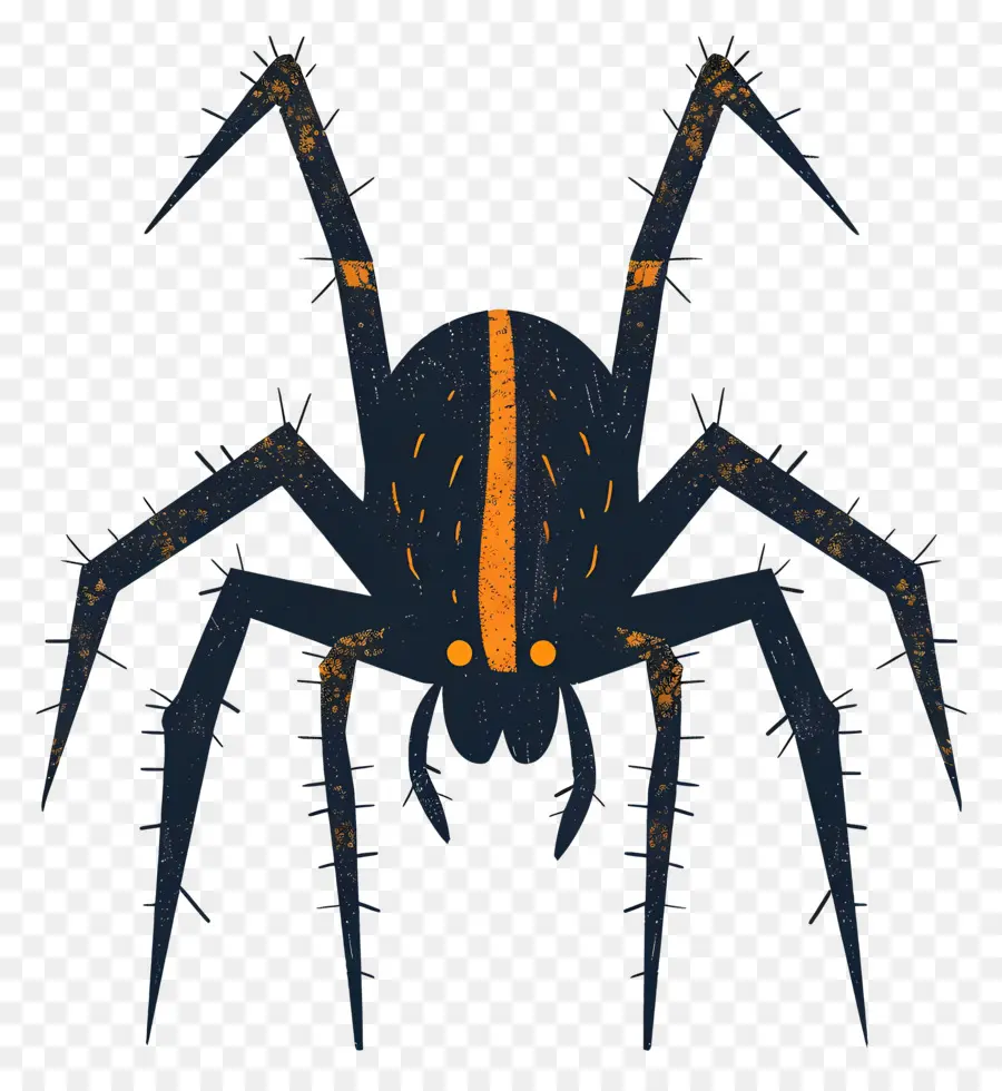 örümcek，Siyah örümcek PNG
