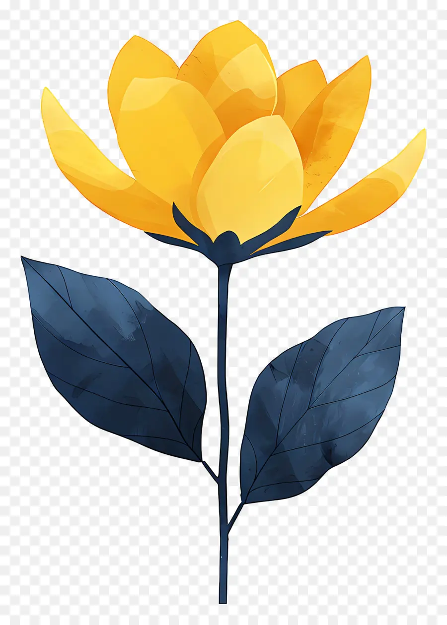 çiçek，Sarı çiçek PNG