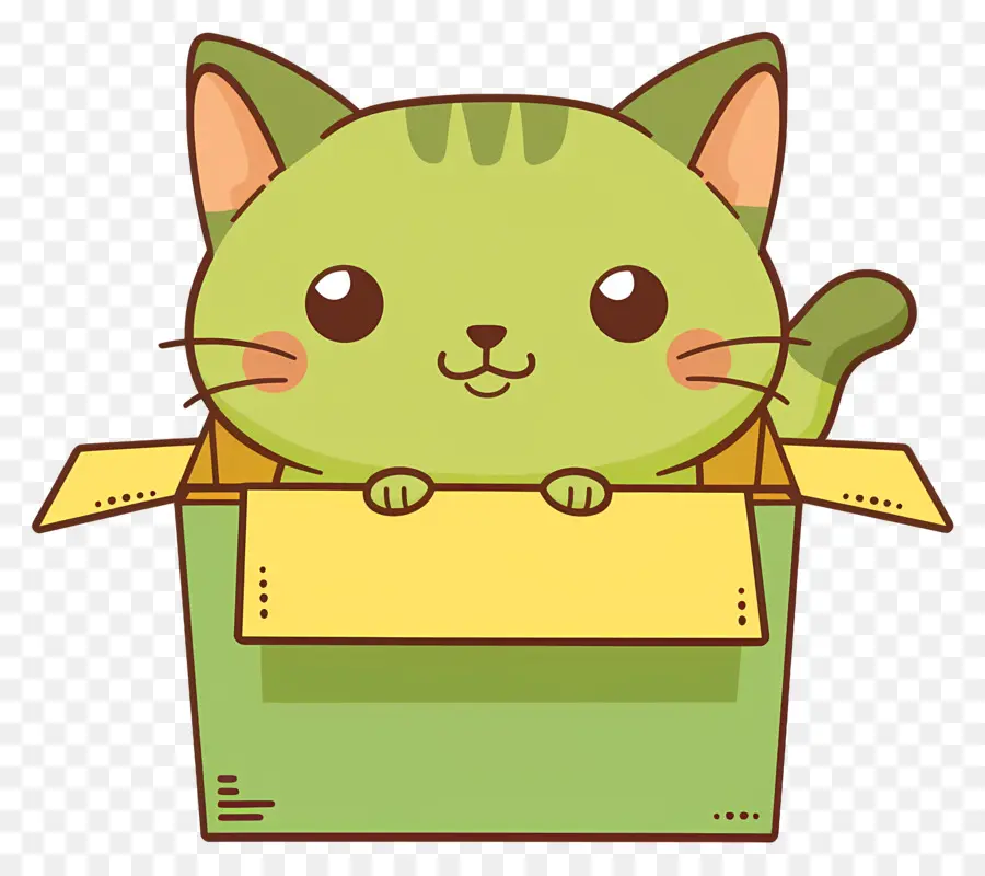 Kutusunda Kedi ，Yeşil Kedi PNG